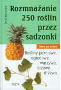 Rozmnażanie 250 roślin przez sadzonki