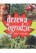 Drzewa w ogrodzie