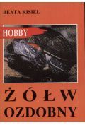 Żółw ozdobny