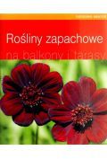 Rośliny zapachowe na balkony i tarasy