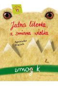 Jedna literka, a zmiana wielka