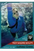 Trzy mądre małpy