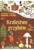 Królestwo grzybów. Młody obserwator przyrody + naklejki i plakat